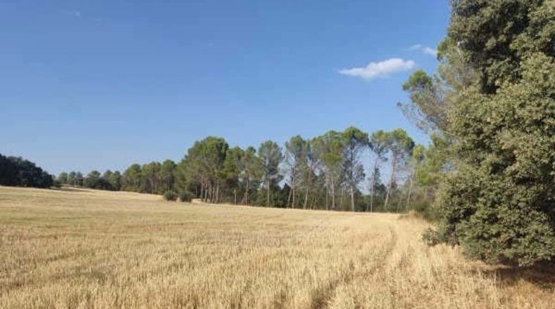 Guadalajara - Alcocer - 23700m2