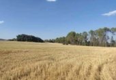 Non-developable land for sale on alcocer, Alcocer, ref: TR235280 photo