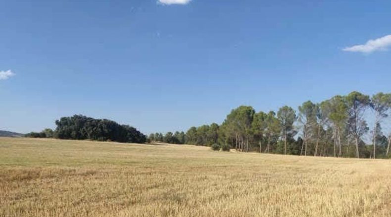 Guadalajara - Alcocer - 23700m2