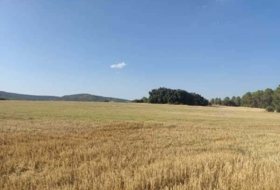 Alcocer 17000&nbsp;м²