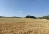 Non-developable land for sale on alcocer, Alcocer, ref: TR235280 photo