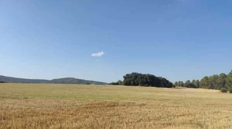 Guadalajara - Alcocer - 23700m2