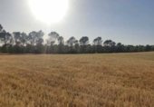 Non-developable land for sale on alcocer, Alcocer, ref: TR235280 photo