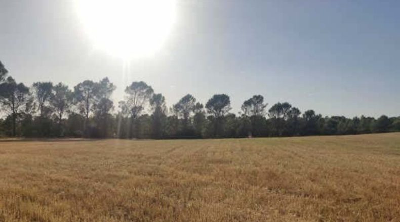 Guadalajara - Alcocer - 23700m2