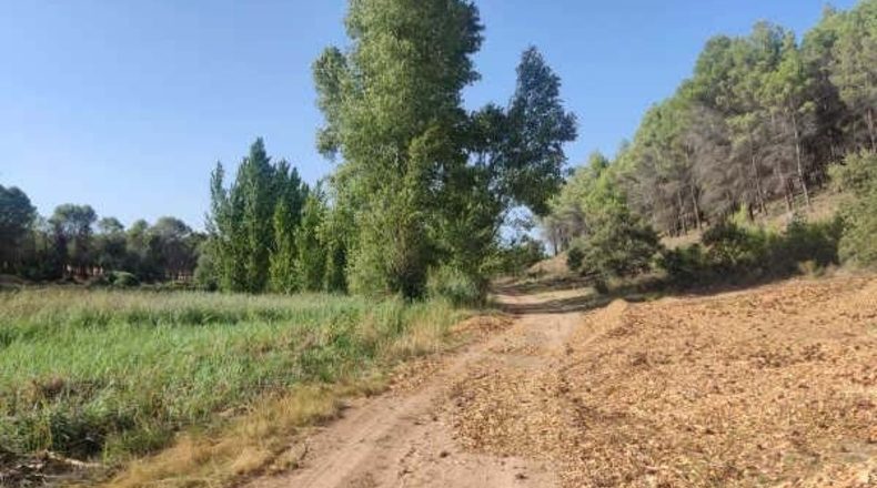 Guadalajara - Alcocer - 23700m2