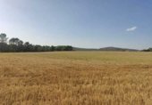 Non-developable land for sale on alcocer, Alcocer, ref: TR235280 photo