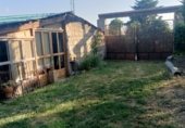 Terreno con Almacén en venta en la Camino de Pancaliente, Ávila, ref: TR235372 foto