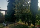 Terreno con Almacén en venta en la Camino de Pancaliente, Ávila, ref: TR235372 foto