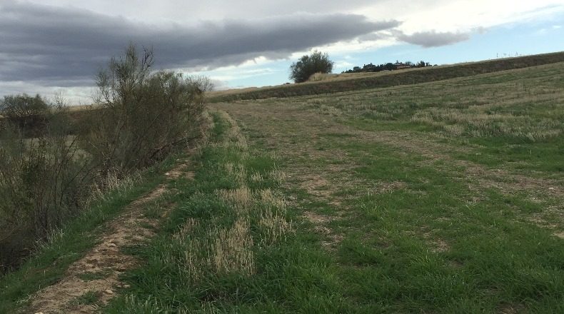 Comunidad de Madrid - Madrid - 2651m2
