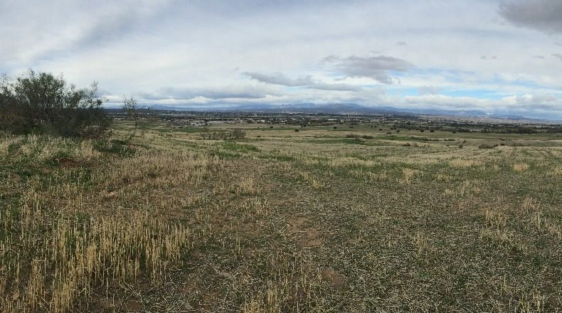 Comunidad de Madrid - Madrid - 2651m2