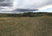 Non-developable land for rent on Polígono 11, Madrid, ref: TR235468 photo