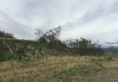 Non-developable land for rent on Polígono 11, Madrid, ref: TR235468 photo