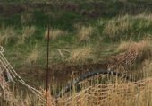 Non-developable land for rent on Polígono 11, Madrid, ref: TR235468 photo
