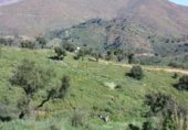 Suelo urbano en venta en la CL EXTREMADURA 7, Ojén, ref: TR254661 foto