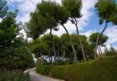Suelo urbano en venta en la CL EXTREMADURA 7, Ojén, ref: TR254661 foto