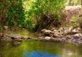 Finca rústica en venda a la FINCA EL PARAÍSO, Huesa, ref.: TR106564 foto