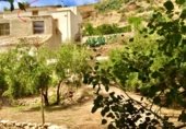 Finca rústica en venda a la FINCA EL PARAÍSO, Huesa, ref.: TR106564 foto