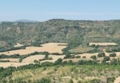Terreno no urbanizable en venta en la Carretera de Santa Engràcia, Talarn, ref: TR254703 foto
