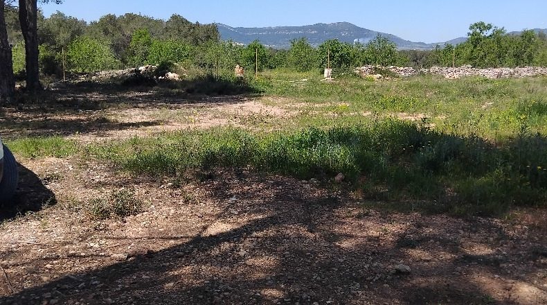 Tarragona - el Pla de Santa Maria - 4499m2