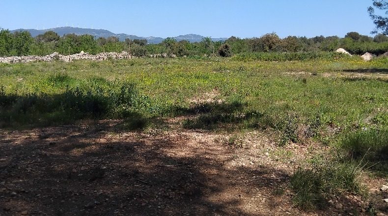 Tarragona - el Pla de Santa Maria - 4499m2