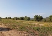 Terreno no urbanizable en venta en la VALLPLANA, Vilalba dels Arcs, ref: TR254705 foto