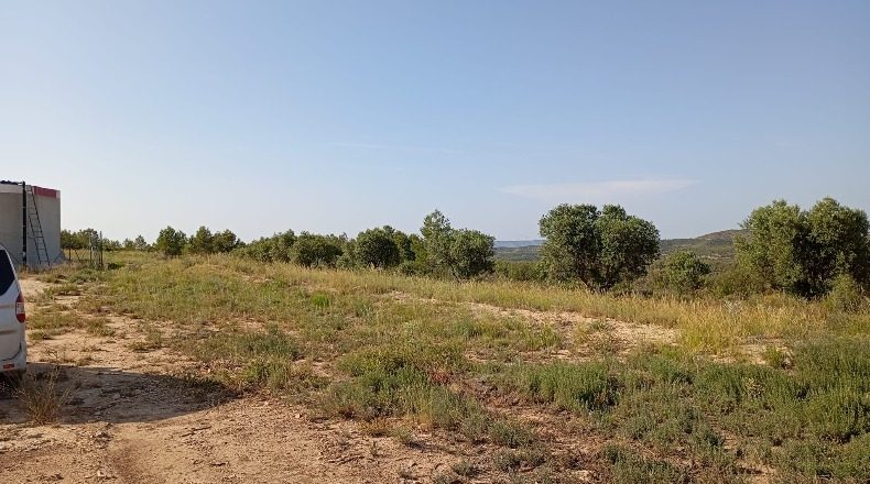 Tarragona - Vilalba dels Arcs - 15000m2