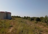 Terreno no urbanizable en venta en la VALLPLANA, Vilalba dels Arcs, ref: TR254705 foto