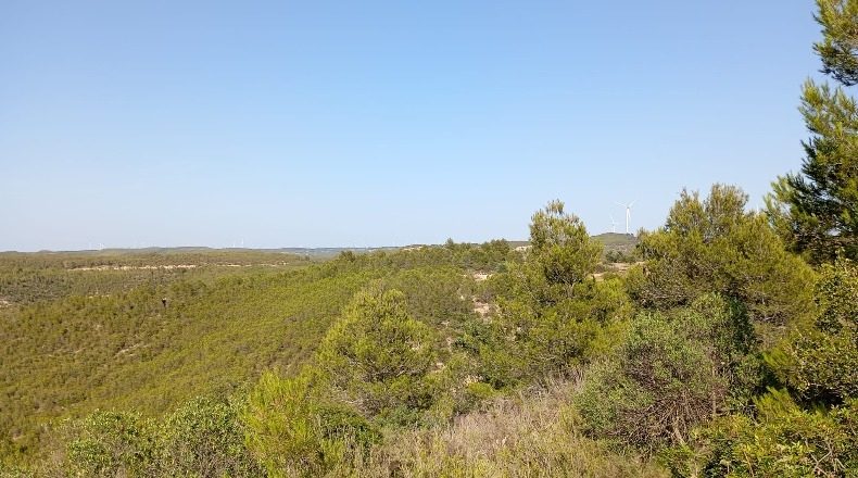 Tarragona - Vilalba dels Arcs - 15000m2