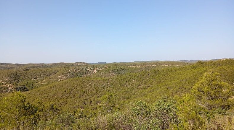 Tarragona - Vilalba dels Arcs - 15000m2