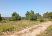 Terreno no urbanizable en venta en la VALLPLANA, Vilalba dels Arcs, ref: TR254705 foto