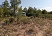 Terreno no urbanizable en venta en la Vallplana, Vilalba dels Arcs, ref: TR254704 foto