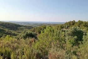 Vilalba dels Arcs 16000&nbsp;m² 