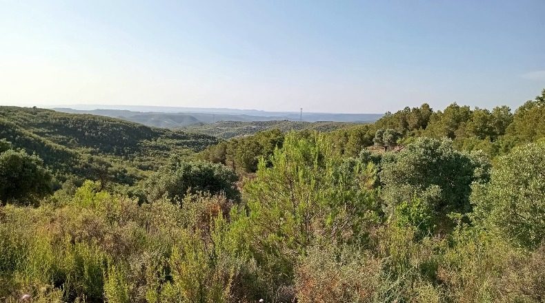 Tarragona - Vilalba dels Arcs - 16000m2