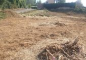 Land suitable for development for sale on Urbanización La Mina, ref: TR254839 photo