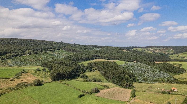 Cantabria - Barrio Peña - 4616m2