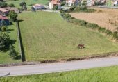 Land suitable for development for sale on Calle Otienes, Barrio Peña, ref: TR254847 photo