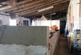 Foto 11