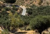 Parcela urbanizable en venta en la Carretera de Vélez de Benaudalla a Motril, Motril, ref: TR257295 foto