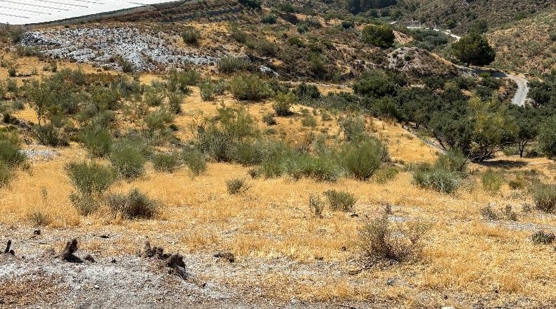 Granada - Vélez de Benaudalla - 39000m2