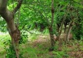 Non-developable land for sale on Calle de Juan de Herrera, Santa Cruz de Bezana, ref: TR257497 photo