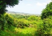 Non-developable land for sale on Calle de Juan de Herrera, Santa Cruz de Bezana, ref: TR257497 photo