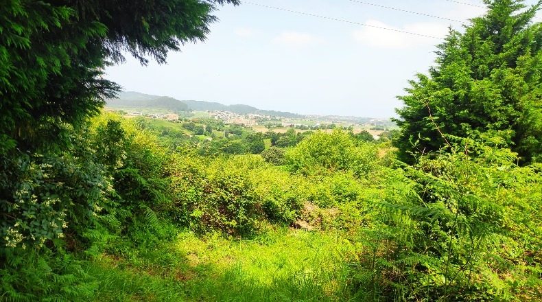 Cantabria - Santa Cruz de Bezana - 4032m2