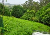 Non-developable land for sale on Calle de Juan de Herrera, Santa Cruz de Bezana, ref: TR257497 photo