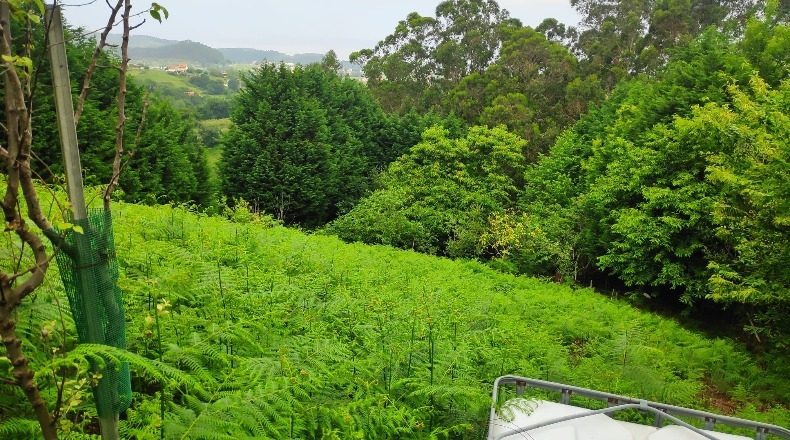 Cantabria - Santa Cruz de Bezana - 4032m2