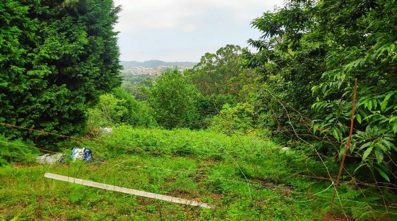 Cantabria - Santa Cruz de Bezana - 4032m2