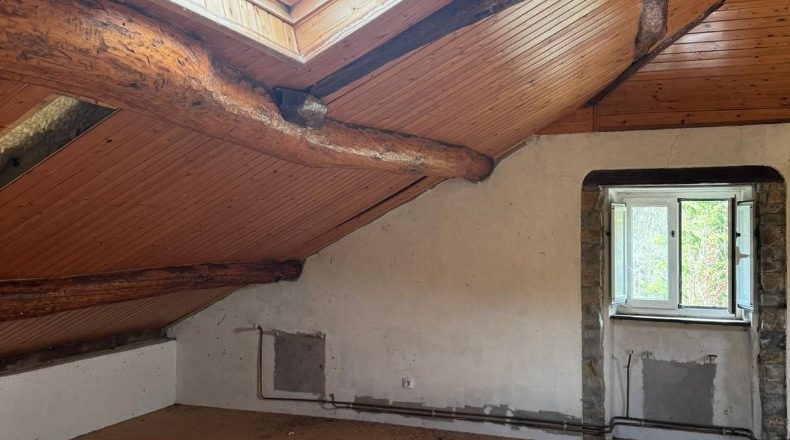 Asturias - Villayón - 25000m2