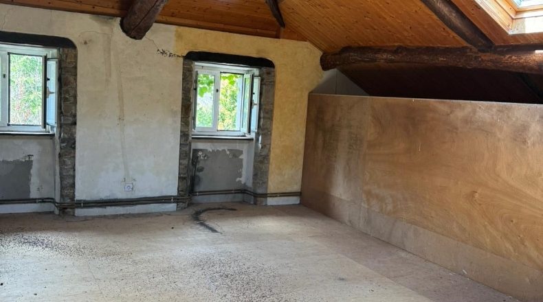Asturias - Villayón - 25000m2