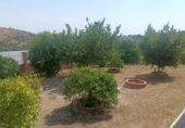 Finca rústica en venda a la NUESTRA SEÑORA DE LINARES FINCA PRADILLOS Y FAJARDA, Còrdova, ref.: TR66692 foto