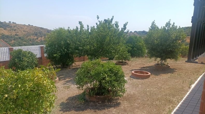 Córdoba - Córdoba - 702780m2