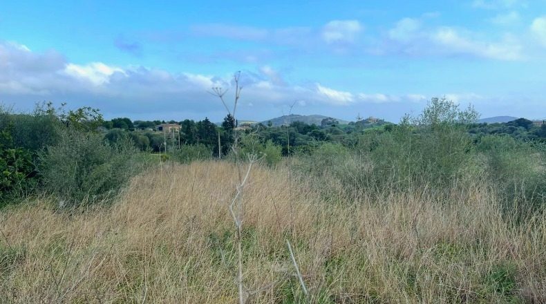Balearic Islands - San Lorenzo del Cardessar - 7108m2